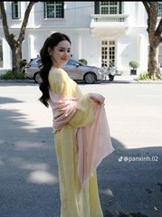 Áo dài gấm cổ tròn 3 bông