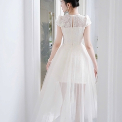 Đầm thiết kế