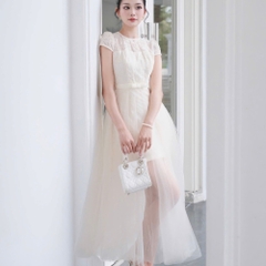 Đầm thiết kế