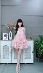 Đầm TH hoa nhí voan 310pls