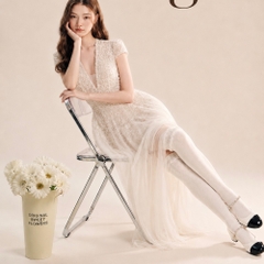 Đầm thiết kế ren lông voan cổ V dáng dài