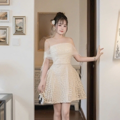 Đầm thiết kế cao cấp ren hoa cúc phối lưới