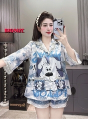 Bộ ngủ 13