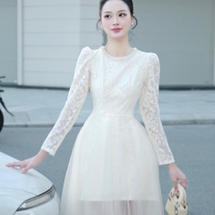 Đầm thiết kế cổ tròn đính ngọc chân voan tay dài