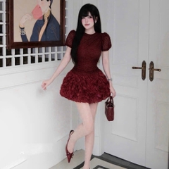 Đầm thiết kế lưới ren xoè phồng