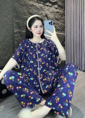 Bộ ngủ 11
