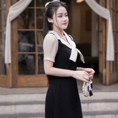 Đầm thanh lịch thiết kế đi làm đi tiệc lịch sự kín đáo cao cấp sang trọng