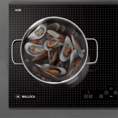 hinh-ung-dung-bep-tu-hong-ngoai-malloca-mh02id2