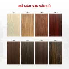 Cửa Thép Vân Gỗ LM511