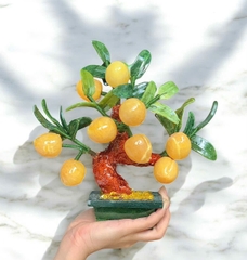 Cây đào Ngọc Hoàng Long đủ size để bàn - thu hút năng lượng tích cực