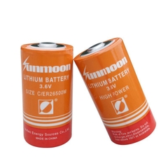 Sunmoon ER26500M, Pin nuôi nguồn 3.6V 6000mAh