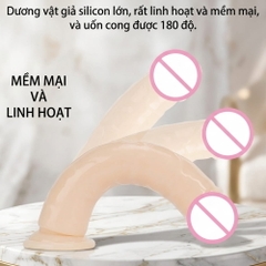 Dương vật giả hít tường Jiuai 1 Màu