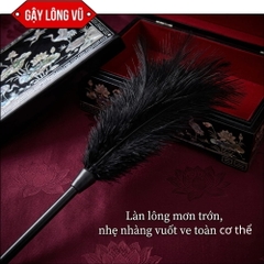 BDSM Bộ bạo dâm 11 món Jiuai