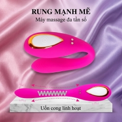 Chíp rung Boqi BQ600 remote