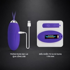 Trứng rung Pretty Love Jenny-Youth Remote