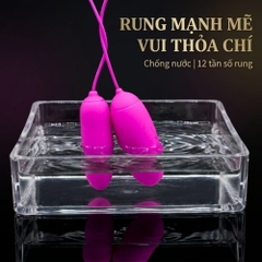 Trứng rung 2 đầu Pretty Love Irma