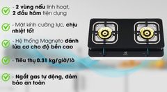Bếp ga dương Elec 2 bậc C.Cấp