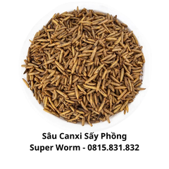 Sâu Canxi Sấy Khô, Sấy Phồng Cho Vật Nuôi