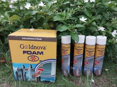 Keo Bọt (FOAM)- 10 hộp