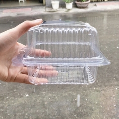 Hộp Nhựa Trong Suốt H05