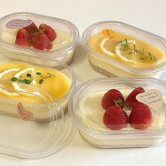 Hộp Nhựa Oval Z150 - HT150G - XY150G