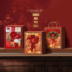 Bộ Hộp Đựng Quà Tết Song Mã Phi Vân
