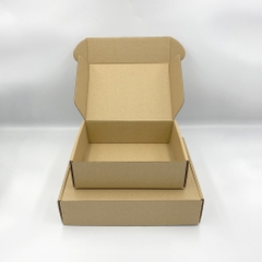 Hộp Carton Nắp Gài