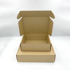 Hộp Carton Nắp Gài