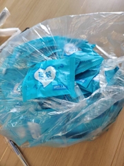 Túi Mù Động Vật Phát Sáng