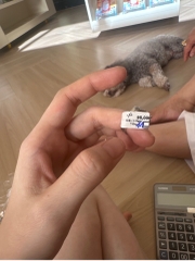 Nhẫn Xi Platin Trắng