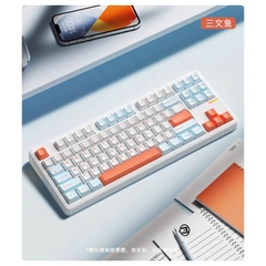 [Hỏa Tốc] Bàn Phím Cơ Riccks RS8 | 3 Mode| Led Viền| Keymap VIA/QMK| Hotswap Mạch Xuôi| Led RGB| TTKeyboard