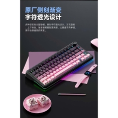 [Hỏa Tốc] Bàn Phím Cơ Không Dây WEIKAV WK75 | 3 Mode | Màn Hình TFT | Led Gầm| Mạch xuôi | LED RGB | TTKeyboard