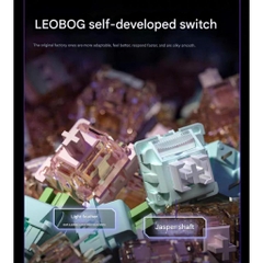 [Hỏa Tốc] Bàn Phím Cơ Không Dây Leobog AMG65 | 3 Modes | Màn Hình Kép | Pin 8000mah | Cyberboard Leobog | TTKeyboard