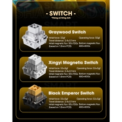 PHÍM CƠ GAMING WIN68 HE ULTRA| Nhôm CNC| Rapid Trigger 0,01 mm| 8000hz |Trục Từ| TTKeyboard