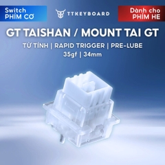 Switch Từ Tính HE GT Taishan | Công Tắc Phím HE Rapid Trigger | Hiệu Năng Vượt Trội RT 0,005mm | TTKeyboard