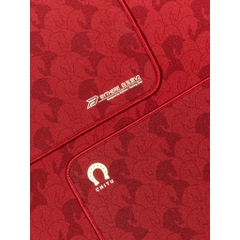 Pad Chuột Bythere V2 Chitu Bính Ngọ Chơi Game Bề Mặt Trung Tính Control Và Speed SOFT