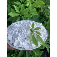 Bột Sắn Dây Nguyên Chất – Thanh Mát Tự Nhiên, Dùng Hằng Ngày