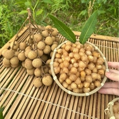 COMBO 2 MÓN: LONG NHÃN ÔM SEN 200G + ĐẬU ĐEN RANG MUỐI 500G - ĂN VẶT BAO MÊ - Tiệm Nhà Bia