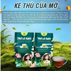 Trà lá nam 10 vị chính hãng detox giảm cân thải độc gan an toàn hiệu quả, hộp 60 gói