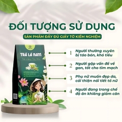 Trà lá nam 10 vị chính hãng detox giảm cân thải độc gan an toàn hiệu quả, hộp 60 gói