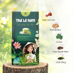 Trà lá nam 10 vị chính hãng detox giảm cân thải độc gan an toàn hiệu quả, hộp 60 gói