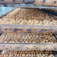 Long Nhãn Ôm Sen - Đặc Sản Hưng Yên