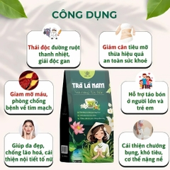 Trà lá nam 10 vị chính hãng detox giảm cân thải độc gan an toàn hiệu quả, hộp 60 gói