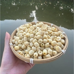 Hạt Sen Sấy Giòn Ăn Liền – Món Ăn Vặt Tự Nhiên & Tiện Lợi Cho Mỗi Ngày