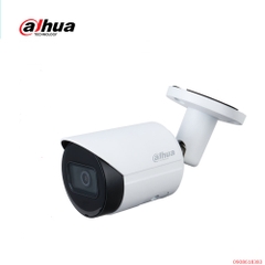 Camera IP 2MP DAHUA DH-IPC-HFW2231S-S