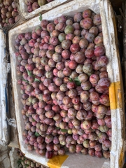Mận Hậu