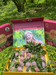 Mận RuBy
