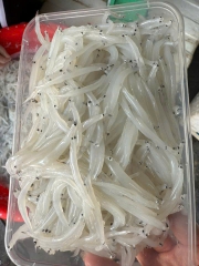 Cá Ngần