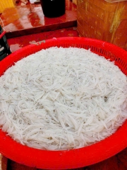 Cá Ngần
