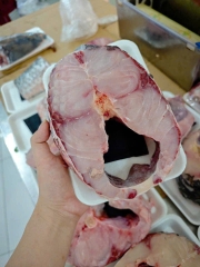 Cá Trắm